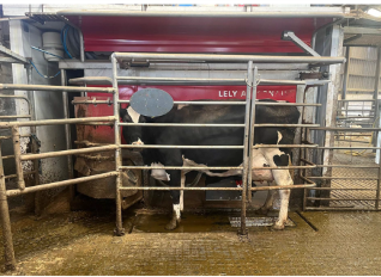 Tips for a successful robotic switch