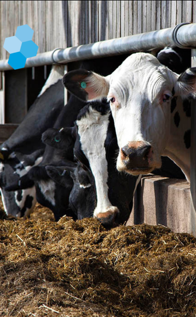 You're invited to the future of high yielding herds meeting & workshop