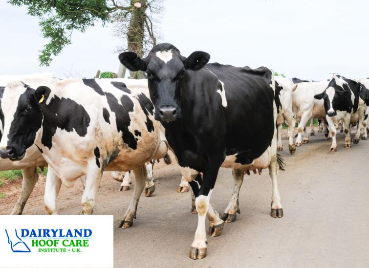 Advanced Nutrition Brings Dairyland Initiative Courses to Scotland