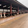 Driving herd performance with live data and high fibre