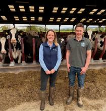 Improving feed efficiency through zero grazing and a balanced diet