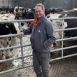 Driving milk quality improvements