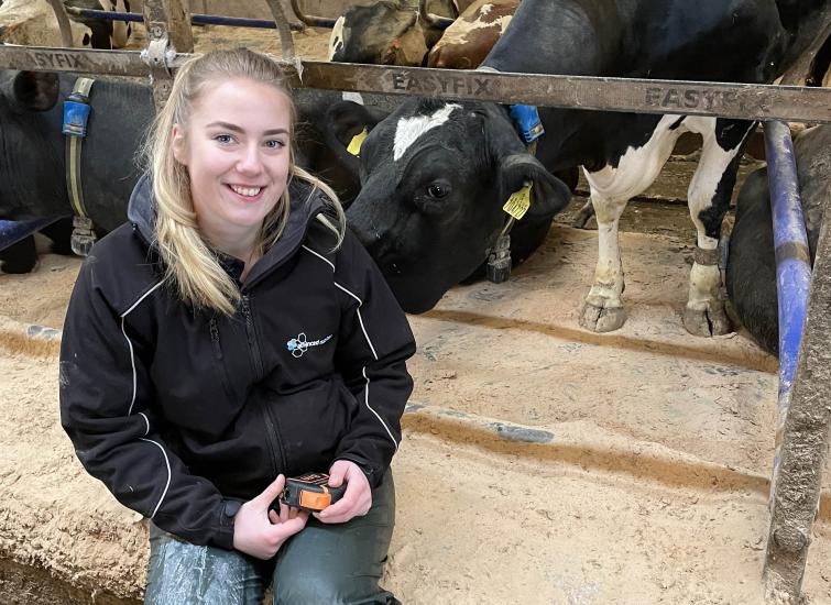 Early lameness prevention helps shape heifer success