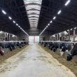 Have Your Dairy Cows Seen the Light?