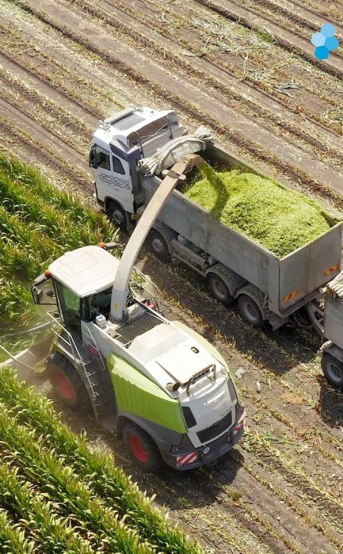 You are invited to our: Maize Masterclass