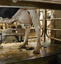 Tips for a successful robotic switch