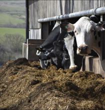 A proactive approach is key to transition success