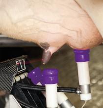 Tips for a successful robotic switch