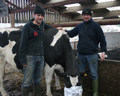 X-Zelit - Removing the headache of calving