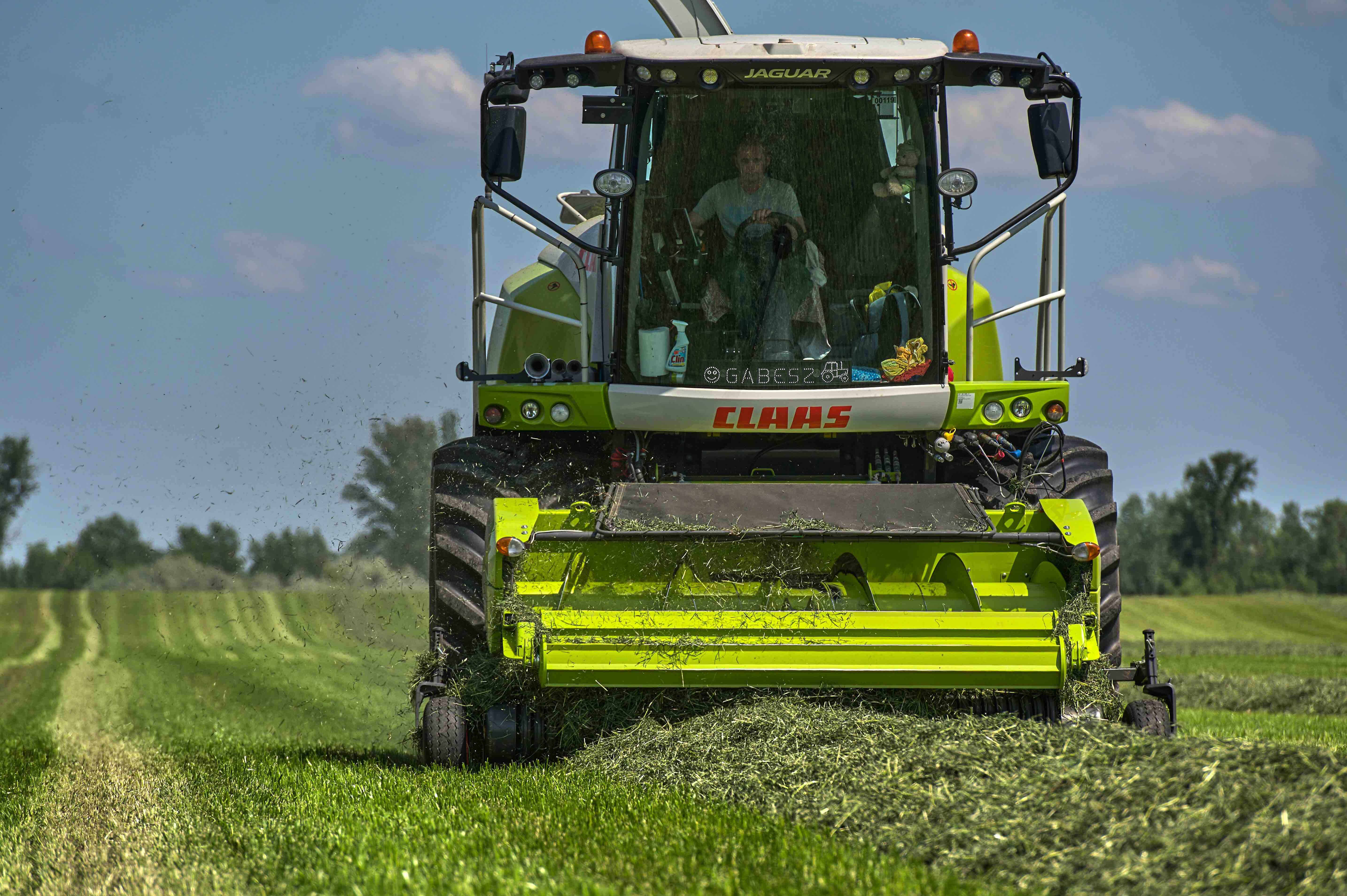 Does a silage inoculant still pay when milk prices fall?