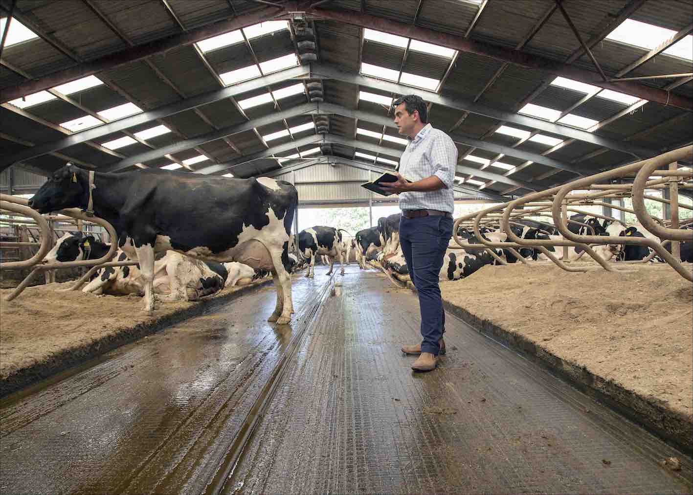 Making the right decisions with milk price uncertainty