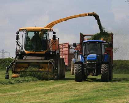 Exploiting grass to cut feed costs