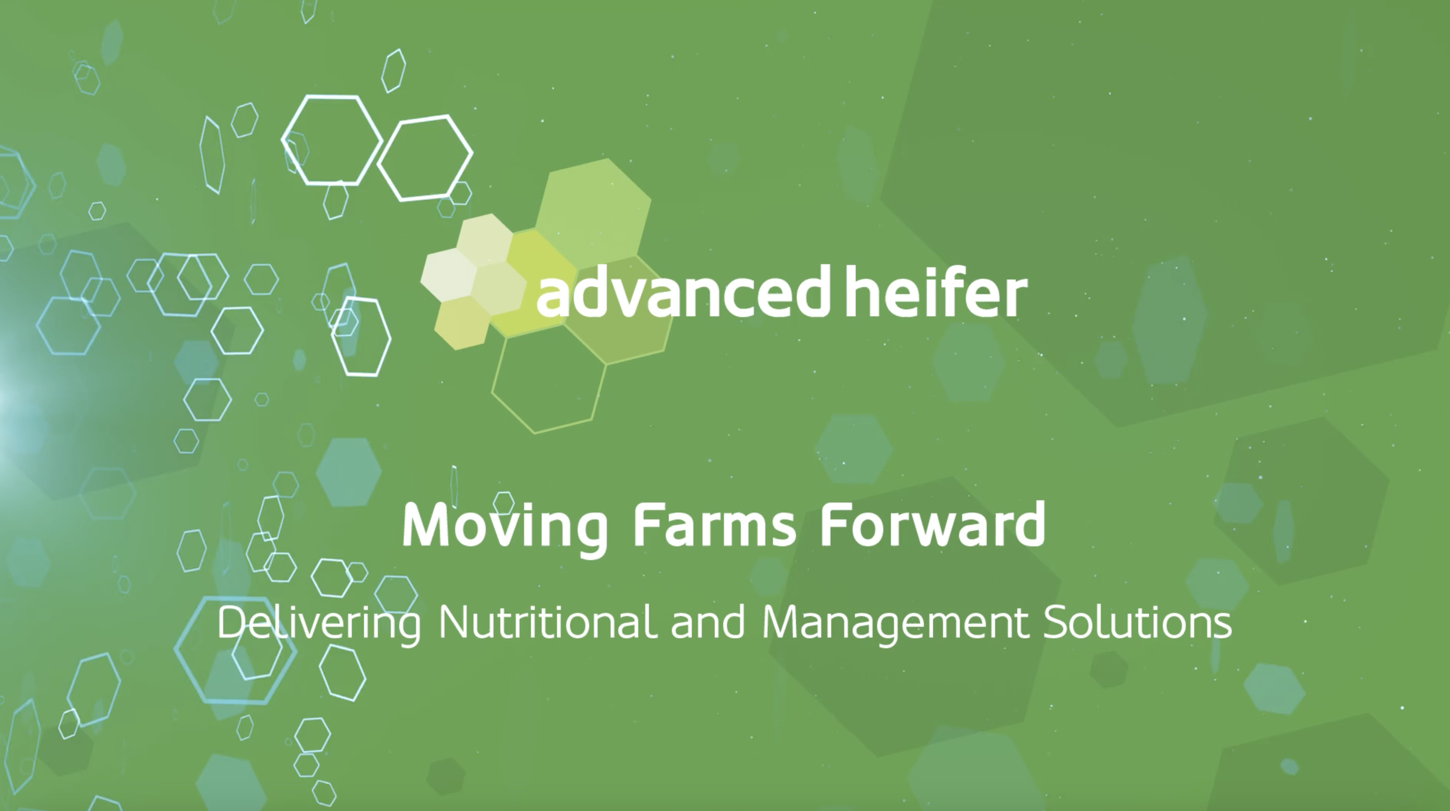 Watch the advanced heifer video